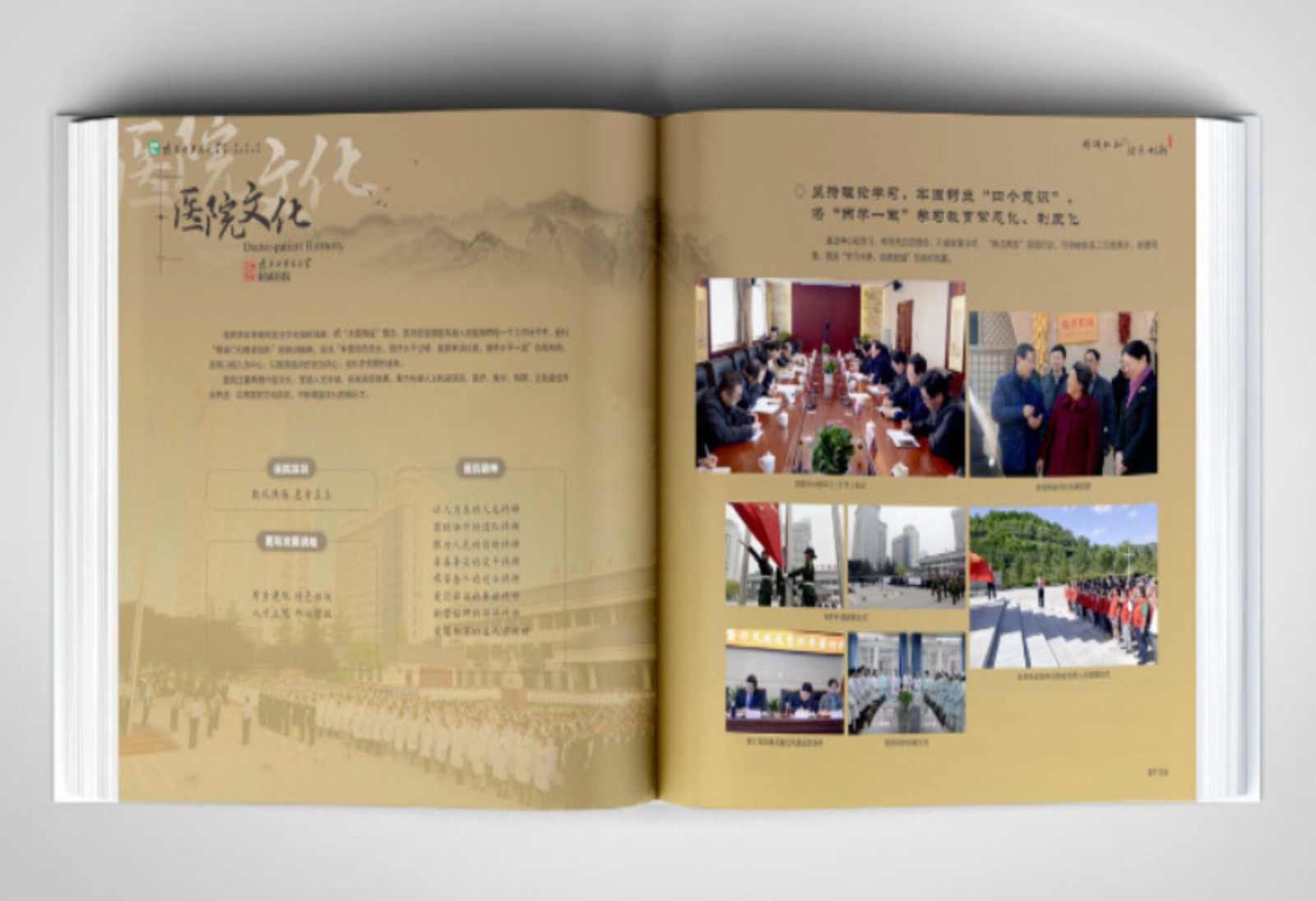 《陜西中醫(yī)藥大學(xué)附屬醫(yī)院第一臨床醫(yī)學(xué)院》宣傳冊案例賞